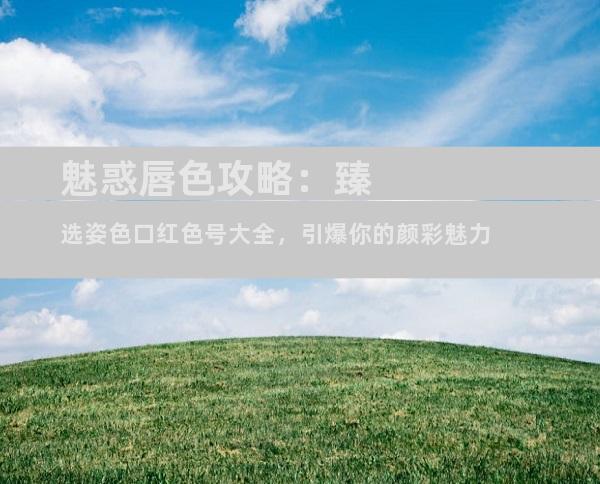 魅惑唇色攻略：臻选姿色口红色号大全，引爆你的颜彩魅力