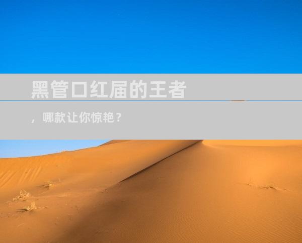 黑管口红届的王者，哪款让你惊艳？