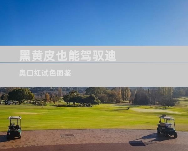 黑黄皮也能驾驭迪奥口红试色图鉴